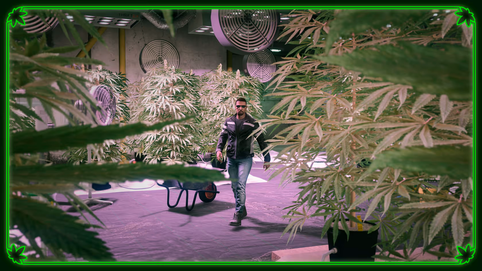 GTA Online, Official, Location, Weed Farm