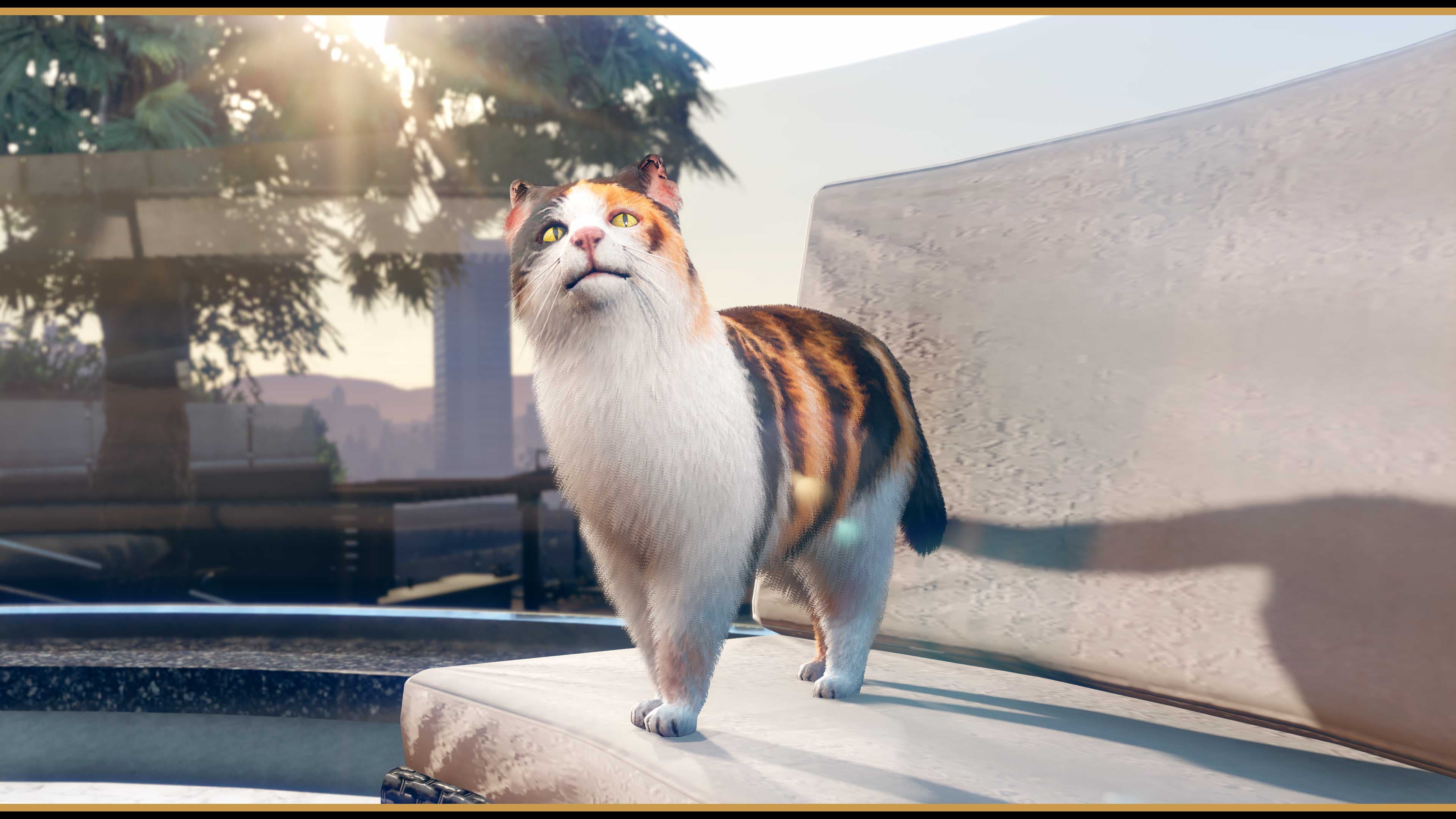 Cat on the grounds of the mansion, GTA Online